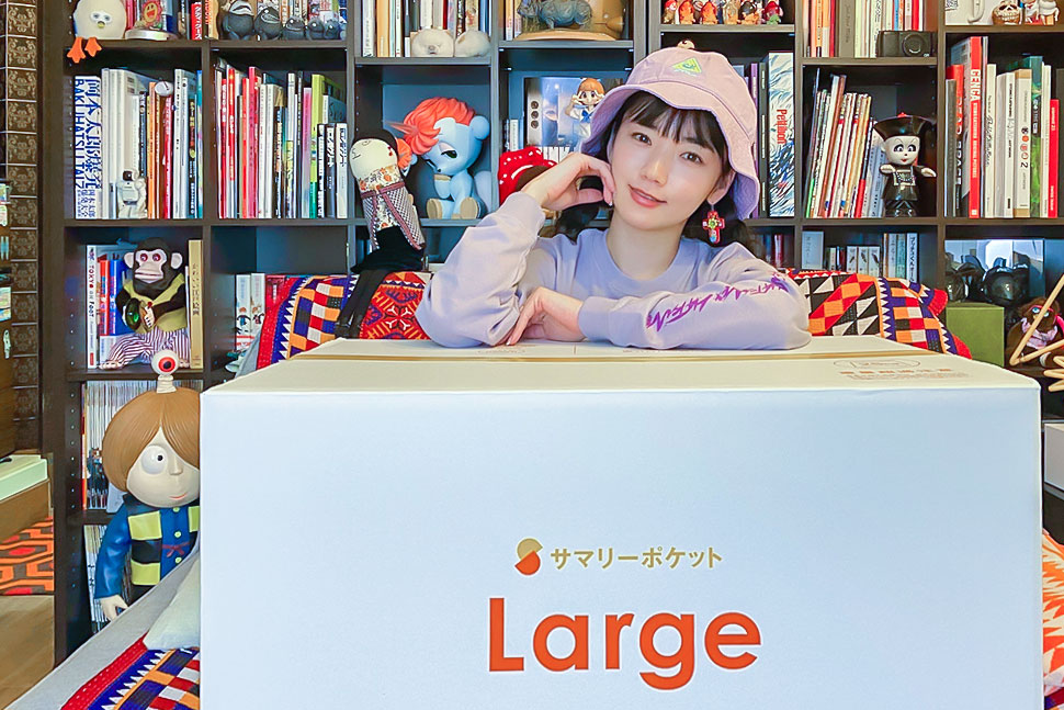 サマリーポケットで好きなモノがバーチャルコレクションとして生きている