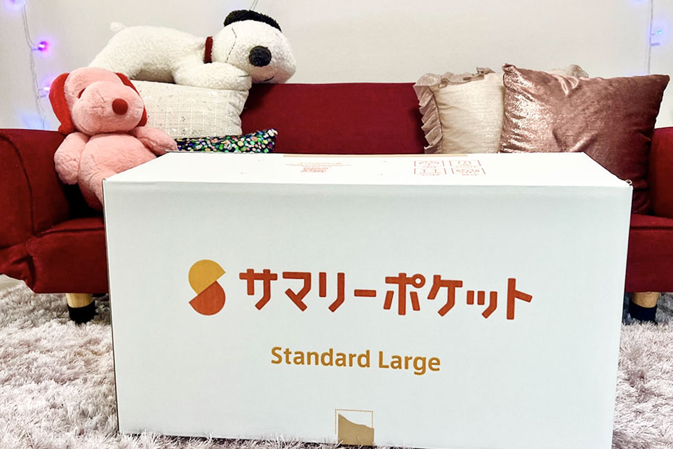 まずはスタンダードプランのラージボックス1箱で様子見して、もう1箱追加