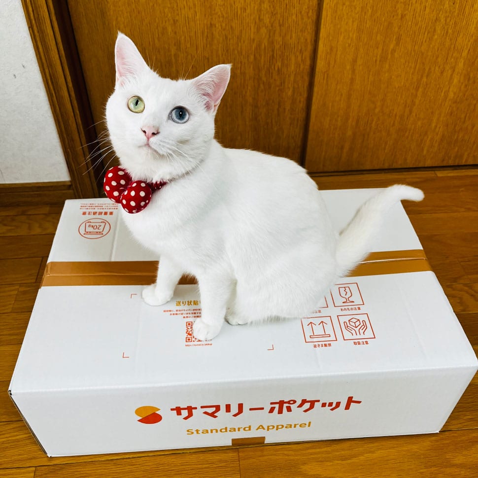 きれいに保管しておきたい着物をサマリーポケットへ